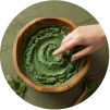 Natural Saponins